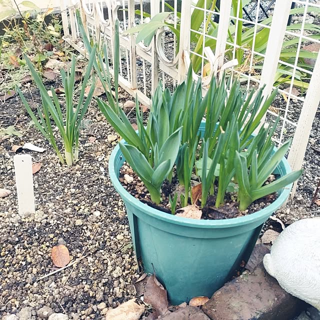 Bienvenueさんの実例写真