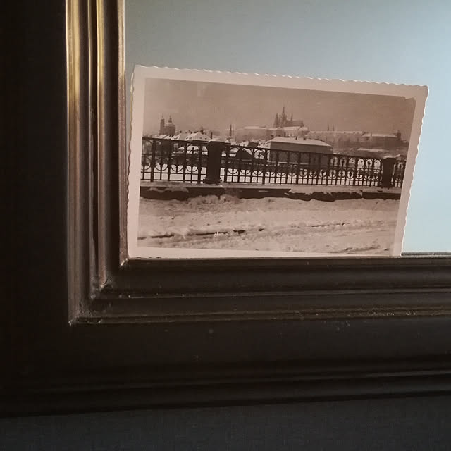 Coney_Island_NYさんの実例写真