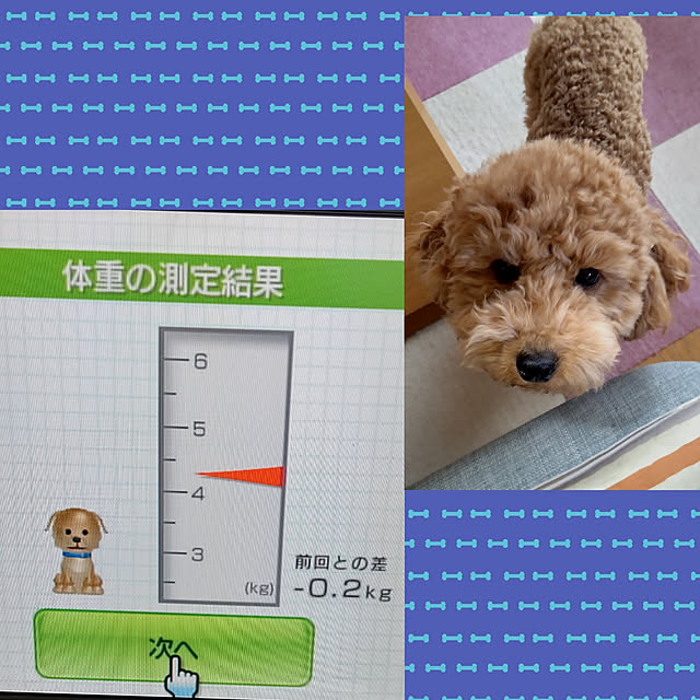 yumirinさんの実例写真