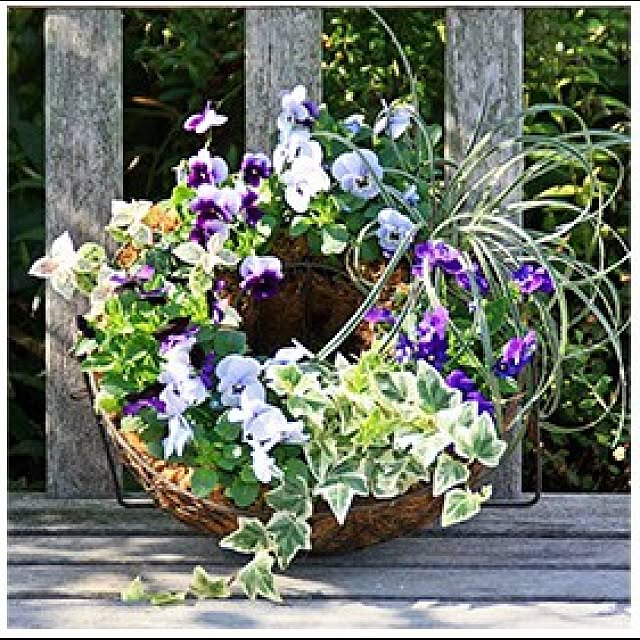 garden_life_saiさんの実例写真