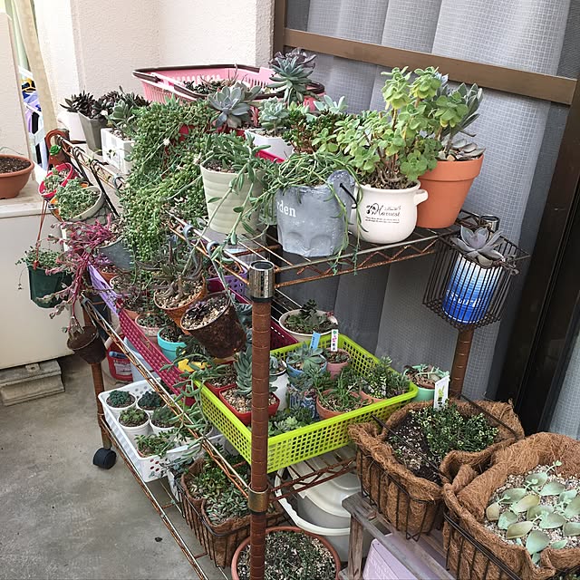 CHIROさんの実例写真