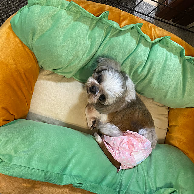 korokoroさんの実例写真