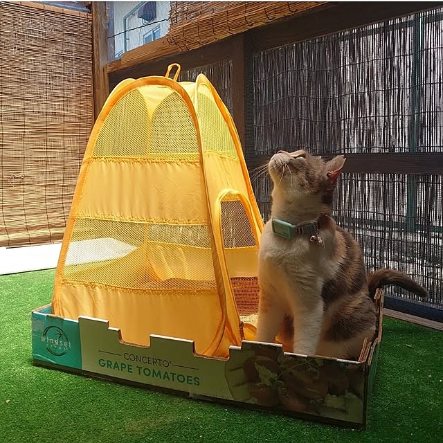 fukuさんの部屋