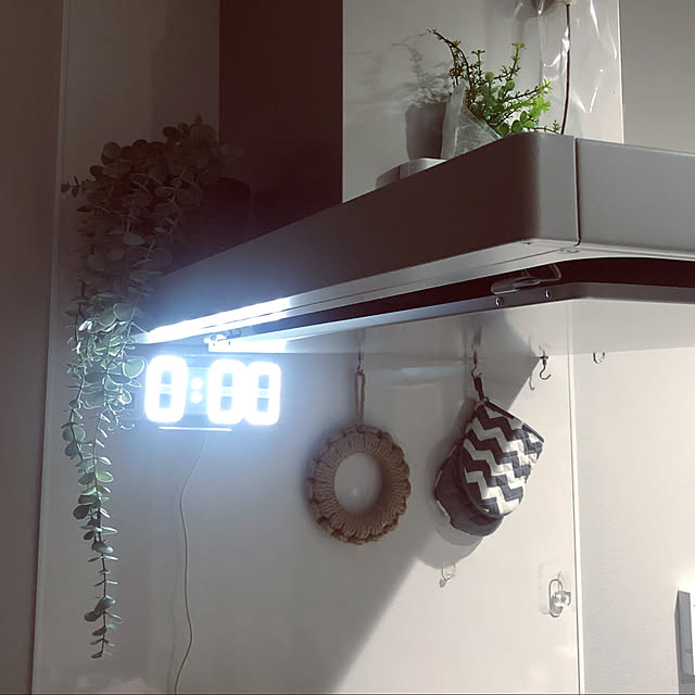 Hedgehog.214さんの実例写真