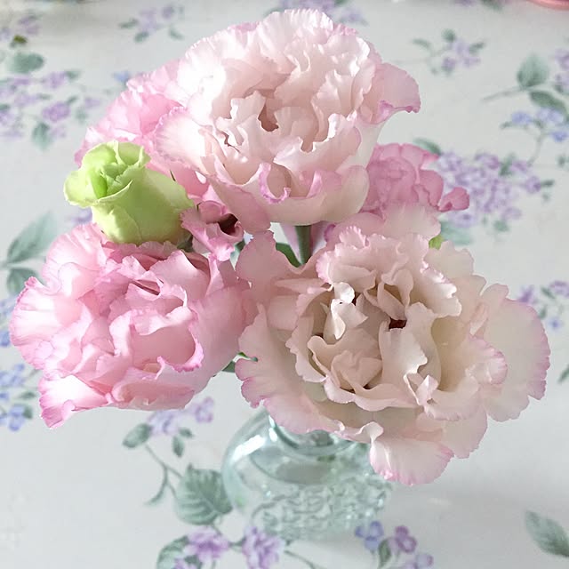 satomiさんの実例写真