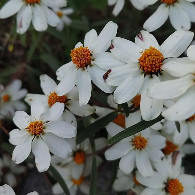 salacocoさんの部屋