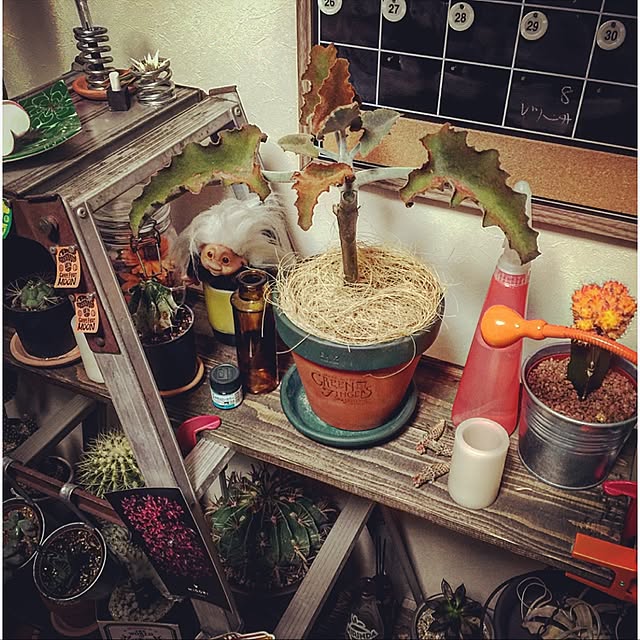motomaki_zaouさんの実例写真
