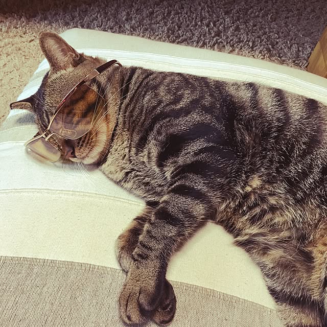 konnakanjiさんの実例写真