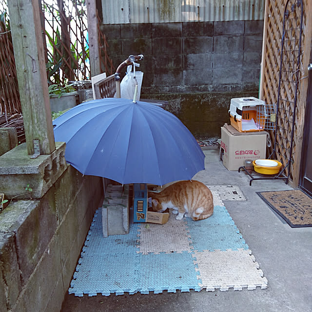 uchizukonyanさんの実例写真