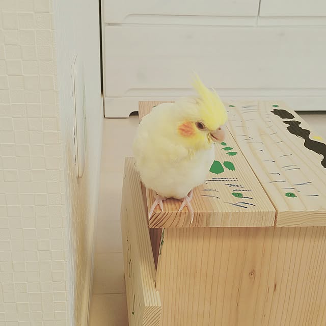 Mさんの実例写真