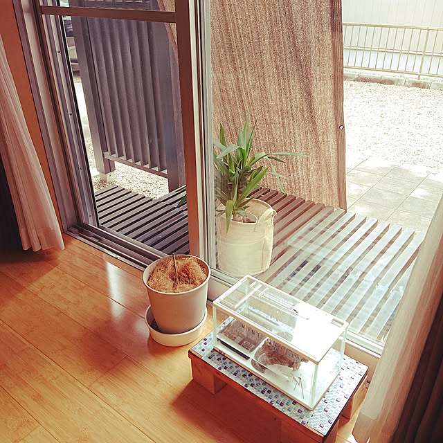 wakaba223さんの実例写真