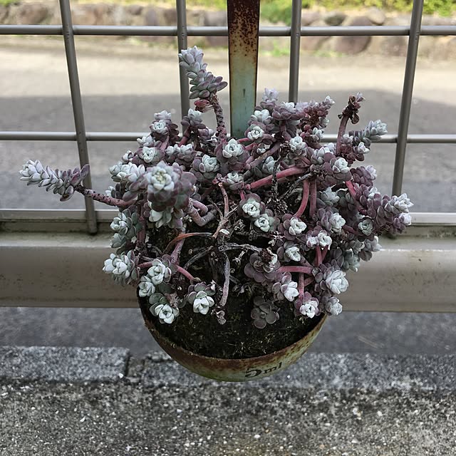 sanw2225719さんの実例写真