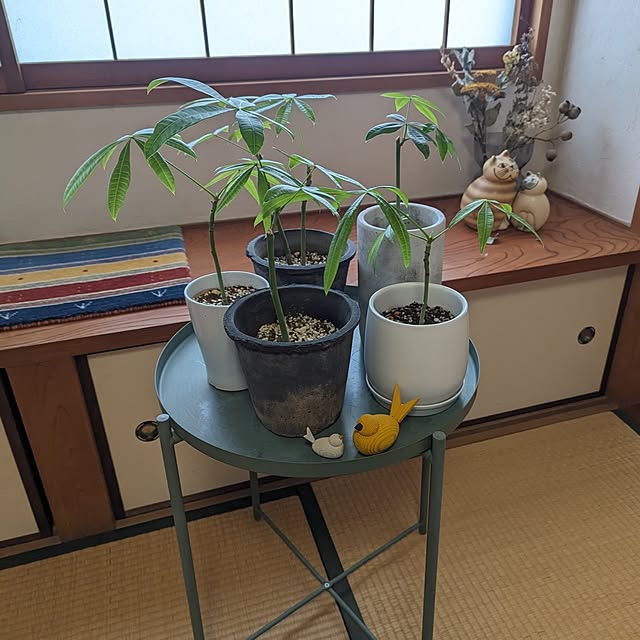 poteさんの部屋