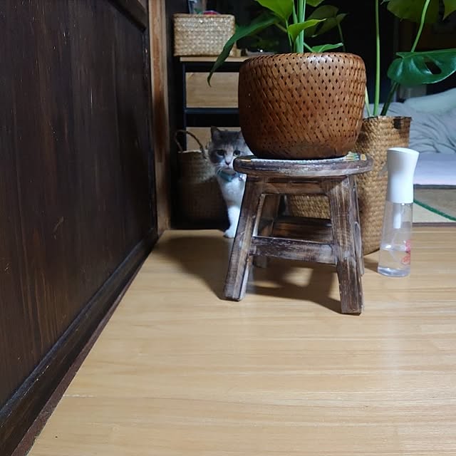 fukuさんの実例写真