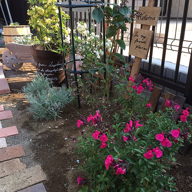 yokochinさんの実例写真