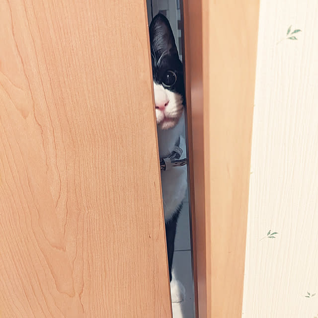 Helloさんの実例写真
