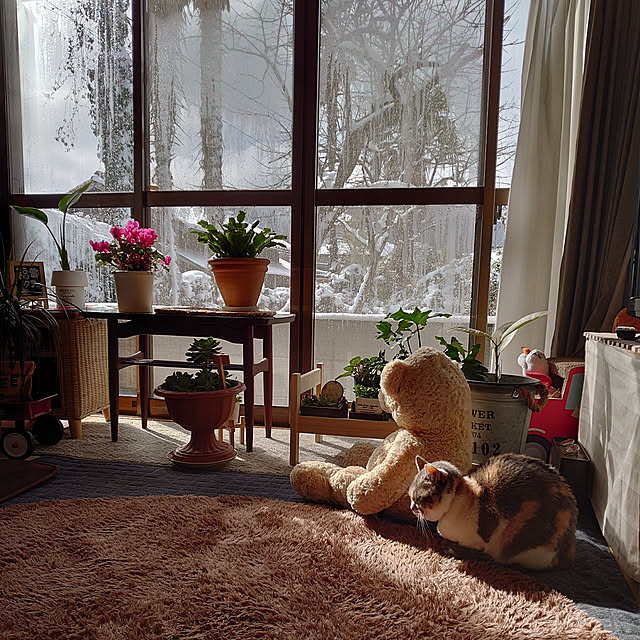 fukuさんの実例写真