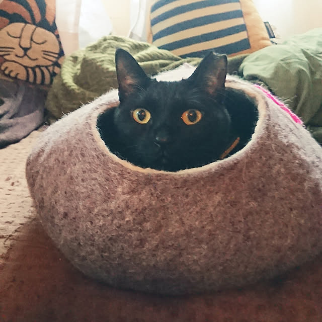lotusさんの実例写真