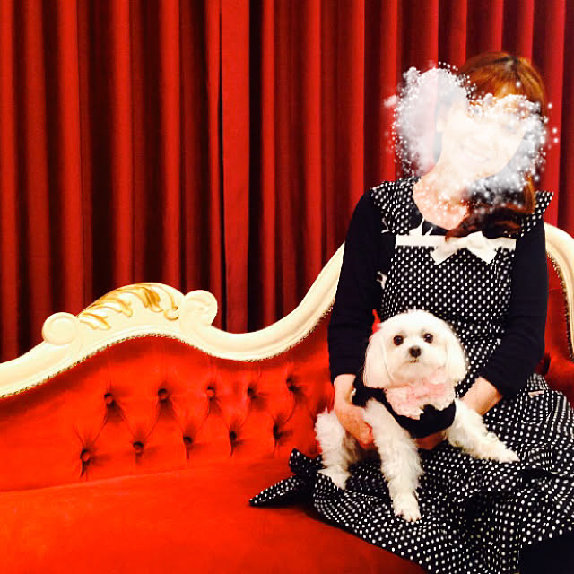 syukoさんの実例写真