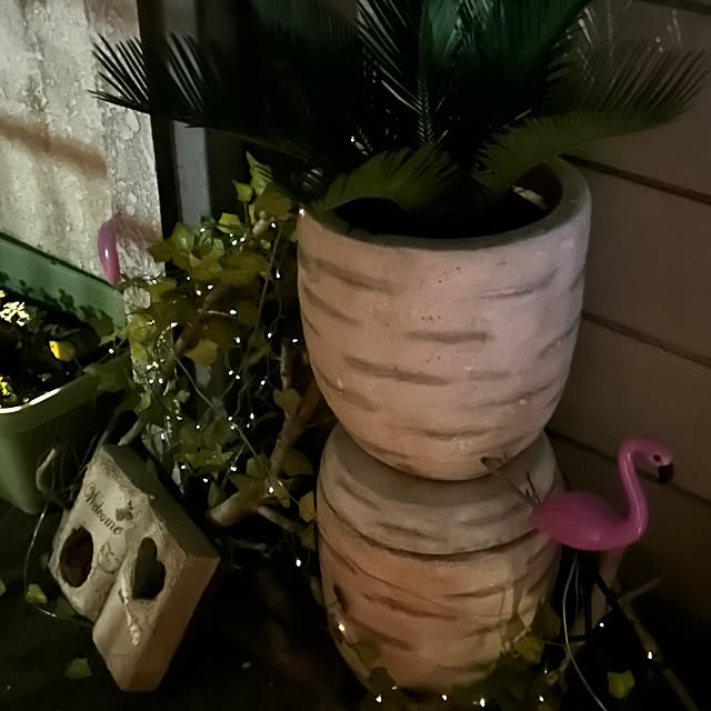 ikunyanさんの部屋