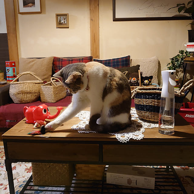 fukuさんの実例写真