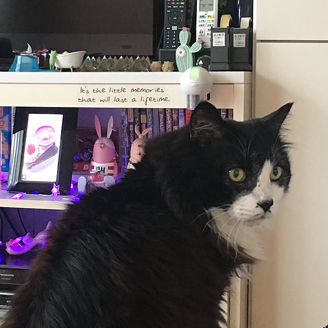 kanaさんの実例写真