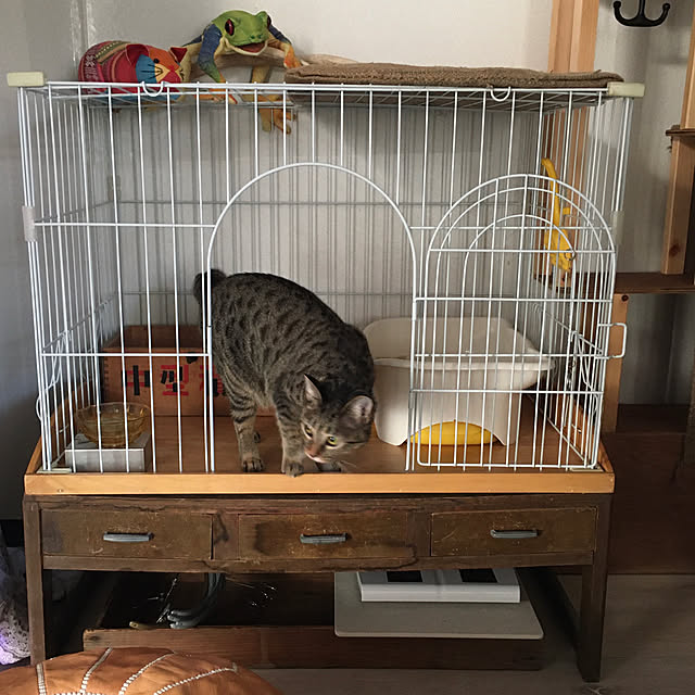 Mさんの実例写真