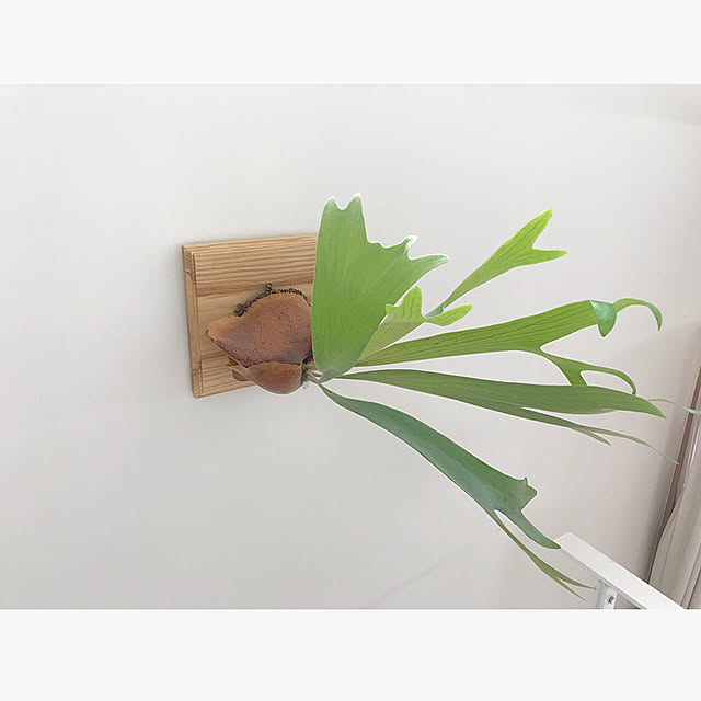 kuboxさんの実例写真