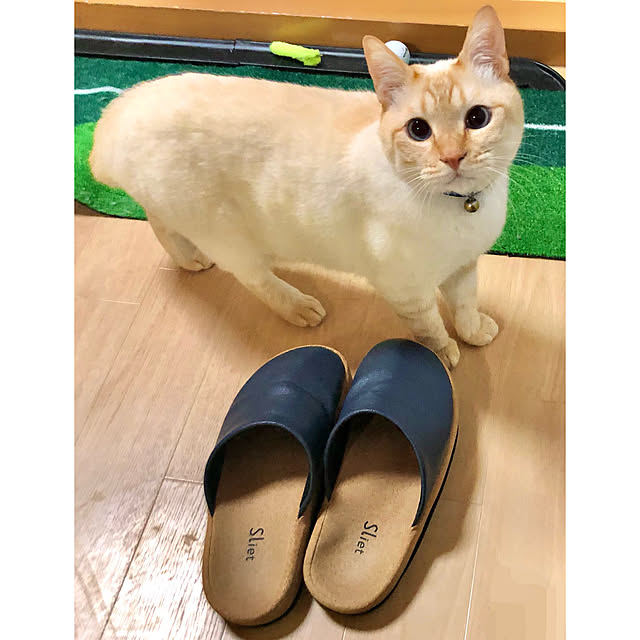 milkさんの実例写真