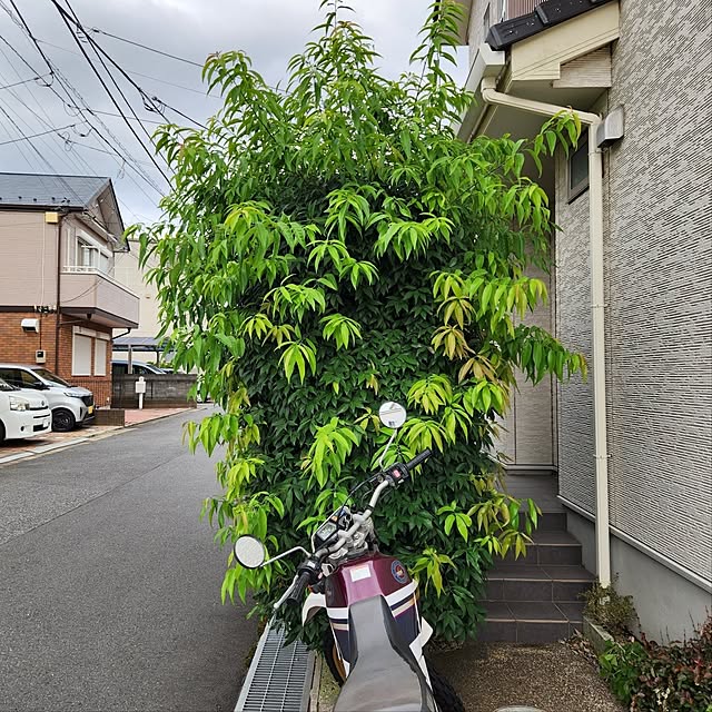 yasu10さんの実例写真