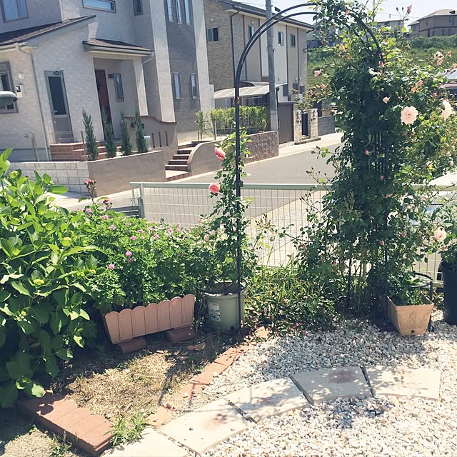 Mayumiさんの実例写真