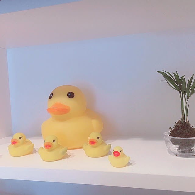 hhabdさんの実例写真