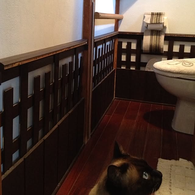 バス/トイレ/DIY/壁/トイレのインテリア実例 - 2013-03-08 18:59:28