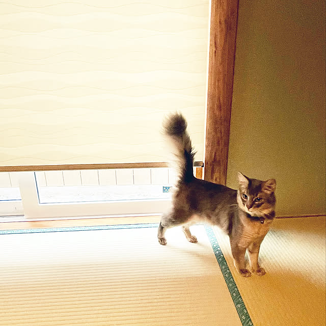 paradise_viewさんの実例写真