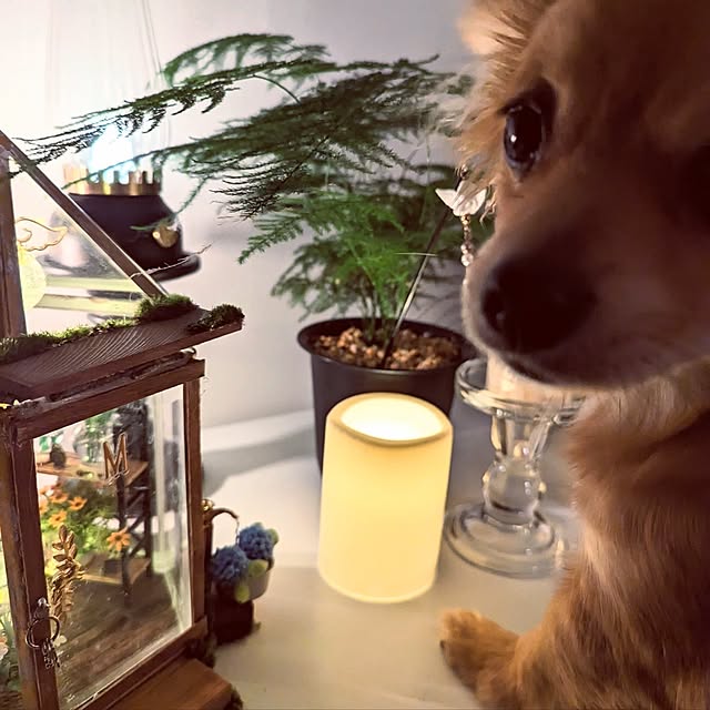 noahさんの部屋