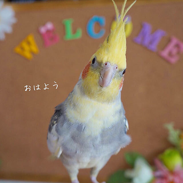 r_6cafeさんの実例写真