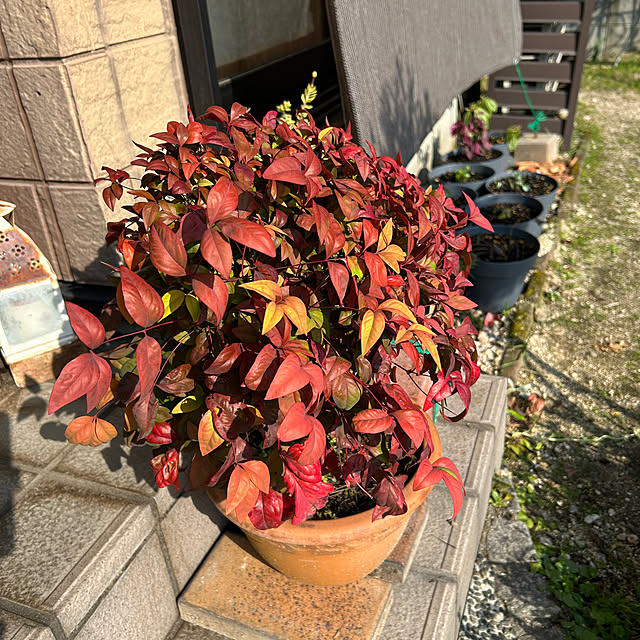 ritsukoさんの部屋