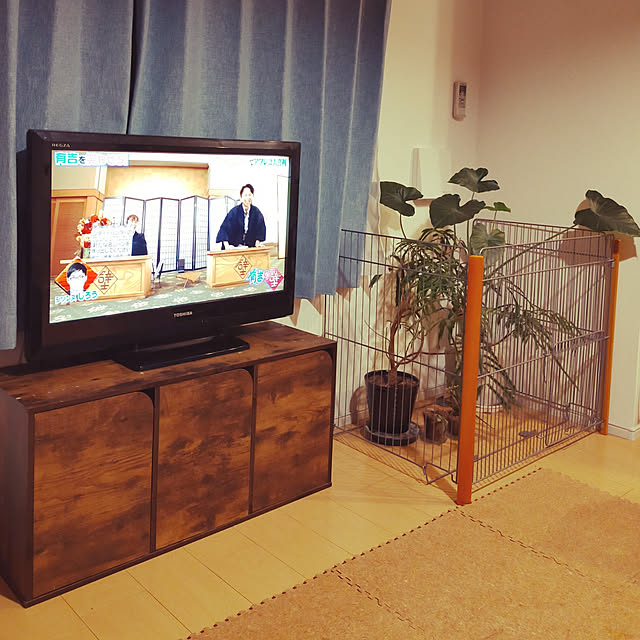テレビ ストーブガードのおすすめ商品とおしゃれな実例 テレビ ストーブガードのおすすめ商品とおしゃれな実例