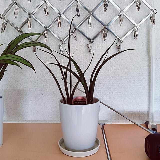 hanachanさんの部屋