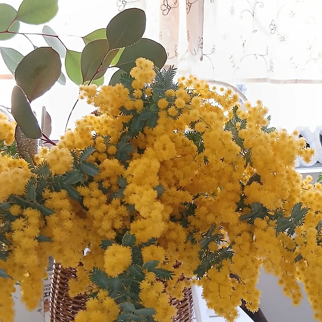 tomomiさんの部屋