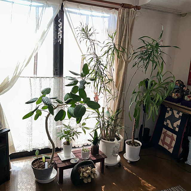 ritsukoさんの部屋
