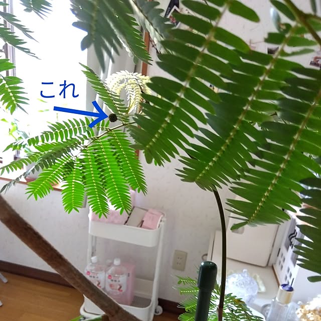 Motomeさんの実例写真