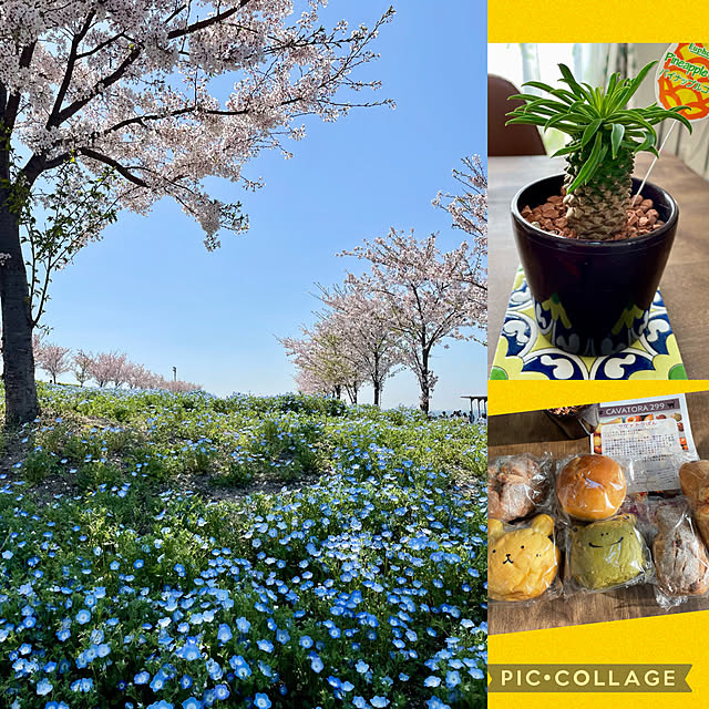 paradise_viewさんの実例写真