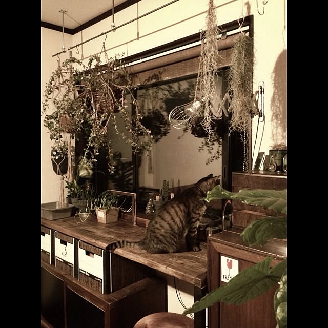 jnkaiさんの実例写真