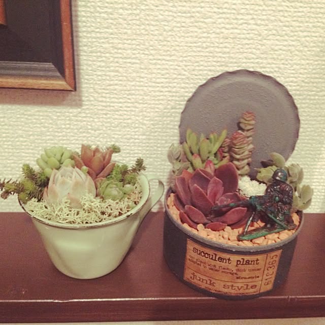 shamogさんの実例写真