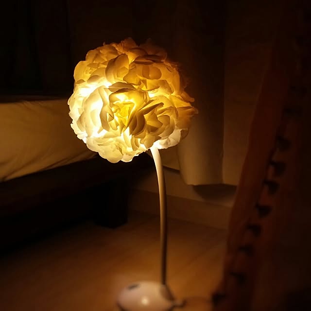 momokoさんの実例写真