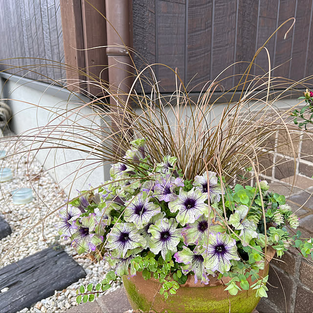 miyaさんの部屋