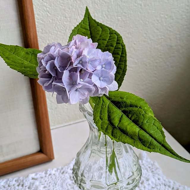 Renさんの部屋