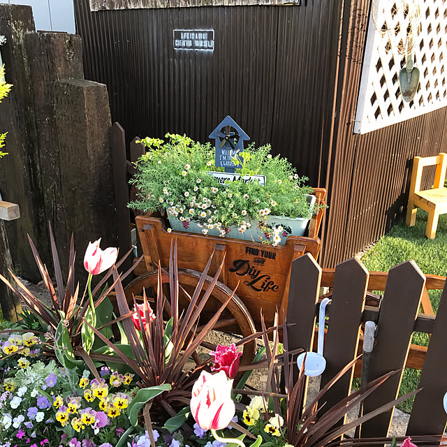 yoshiさんの部屋