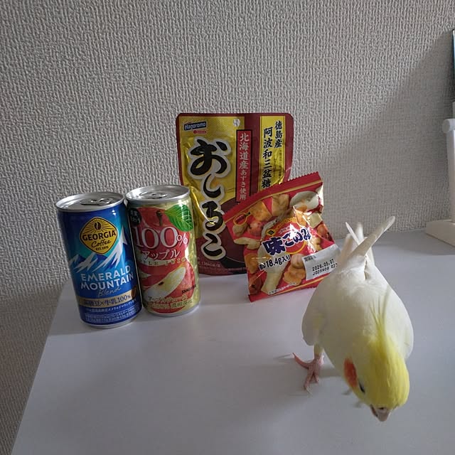 toratanさんの実例写真